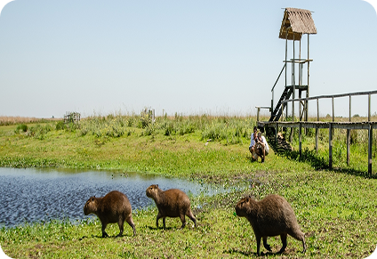 Pasajes a Corrientes